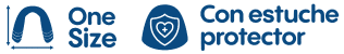 Iconos
